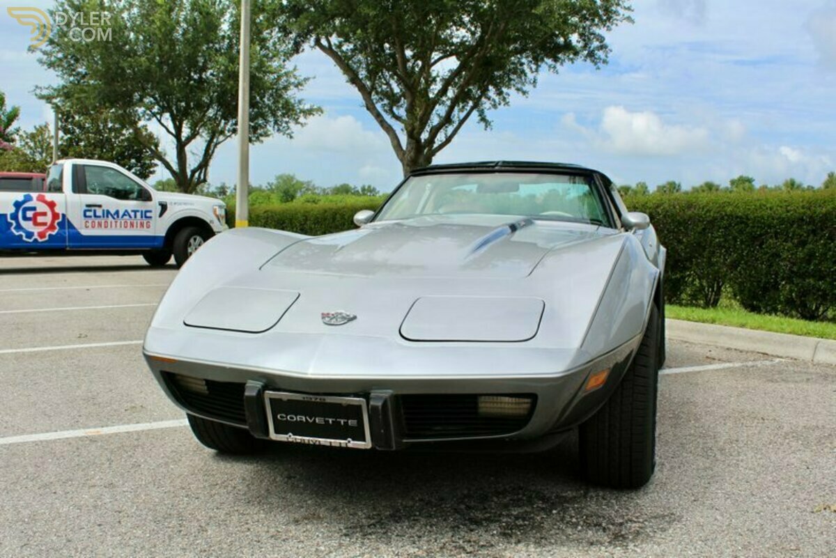 1978 Chevrolet Corvette Silver Anniversary Edition, foto 6