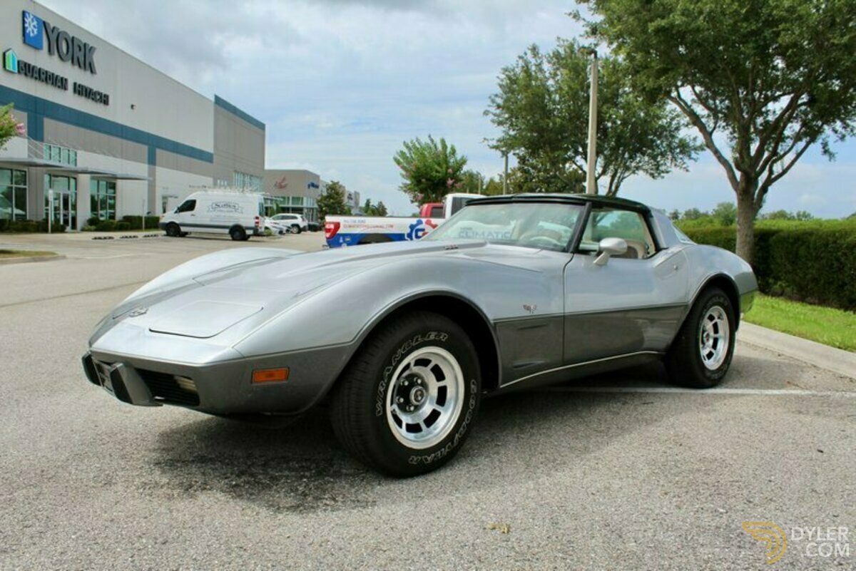 1978 Chevrolet Corvette Silver Anniversary Edition, foto 7