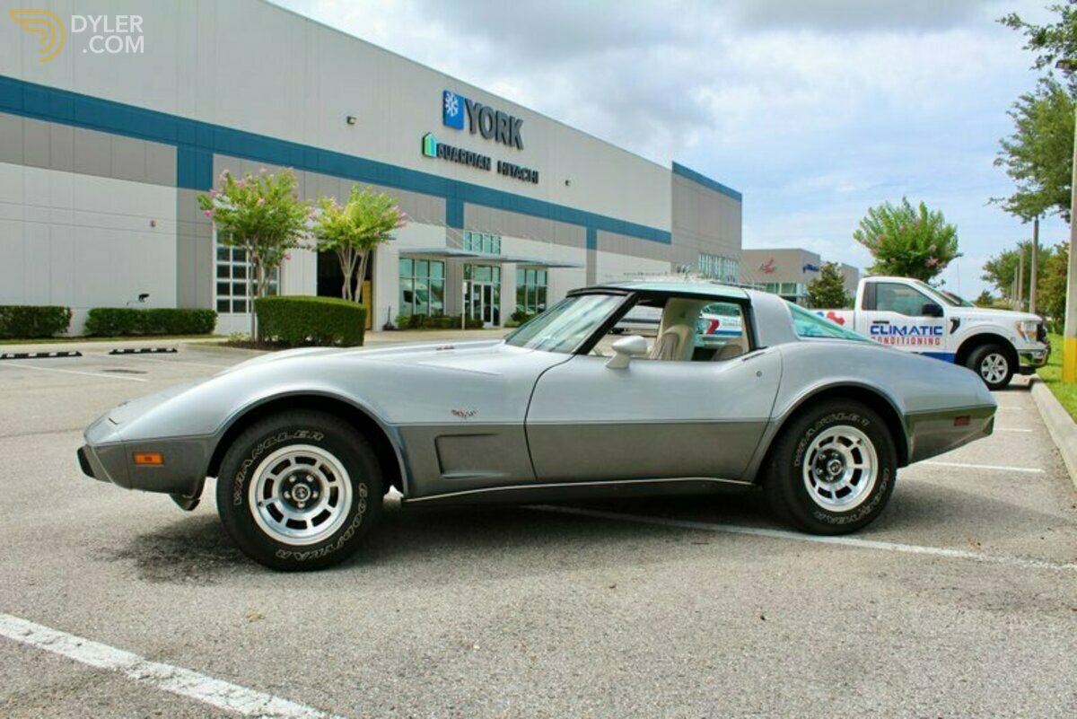 1978 Chevrolet Corvette Silver Anniversary Edition, foto 8