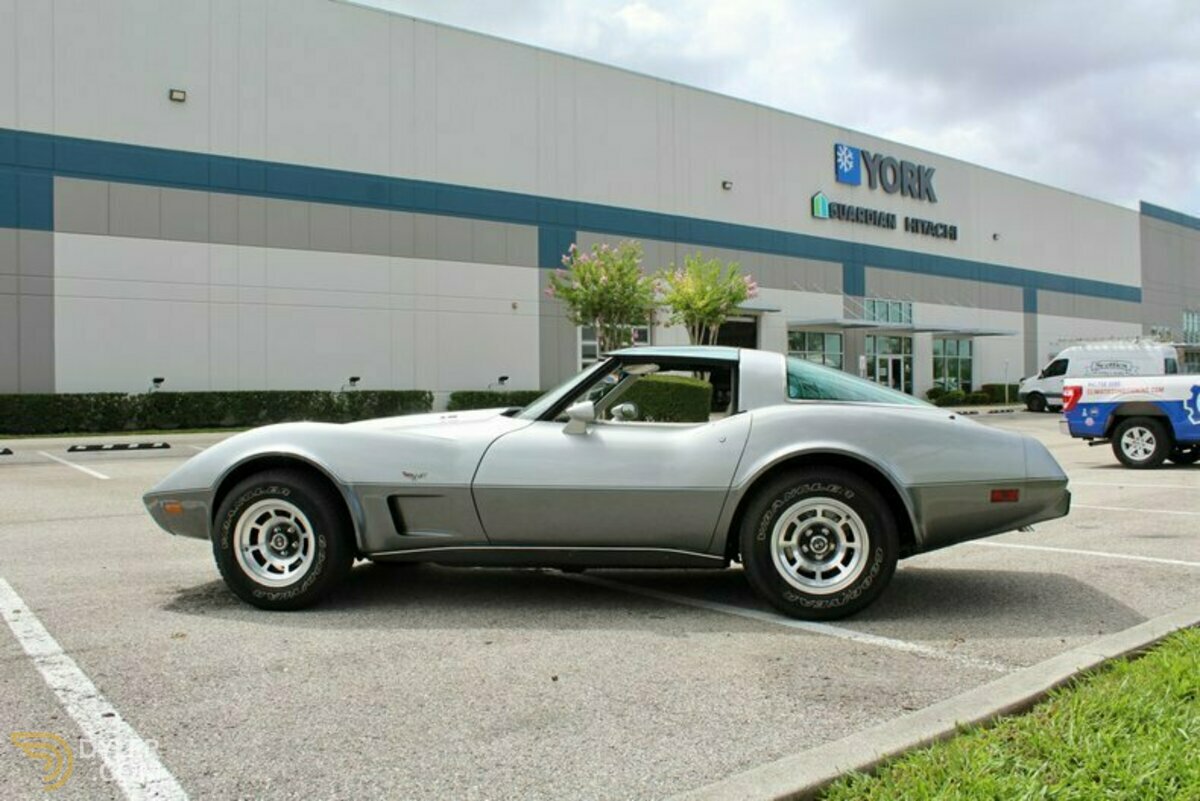 1978 Chevrolet Corvette Silver Anniversary Edition, foto 9