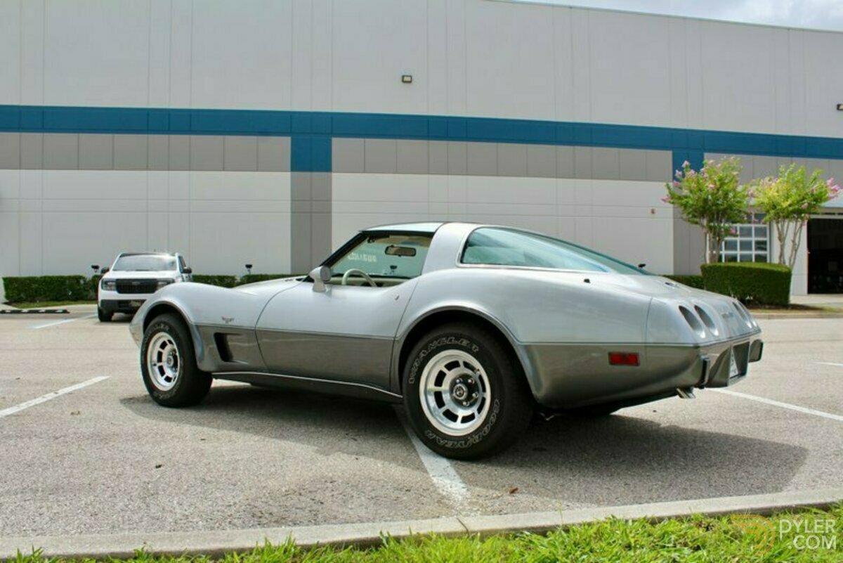 1978 Chevrolet Corvette Silver Anniversary Edition, foto 10