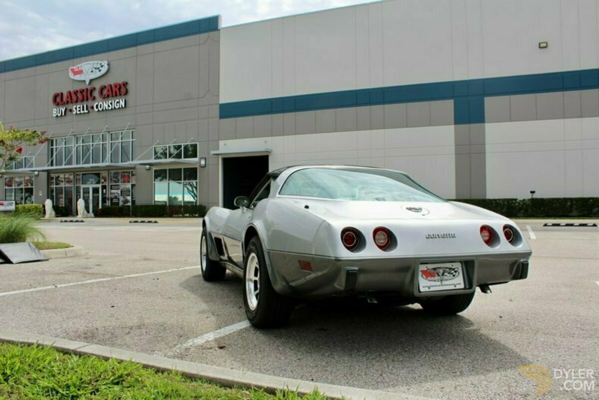 1978 Chevrolet Corvette Silver Anniversary Edition, foto 11