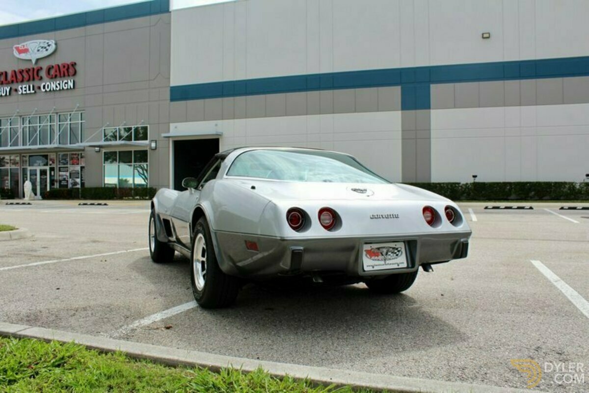 1978 Chevrolet Corvette Silver Anniversary Edition, foto 12