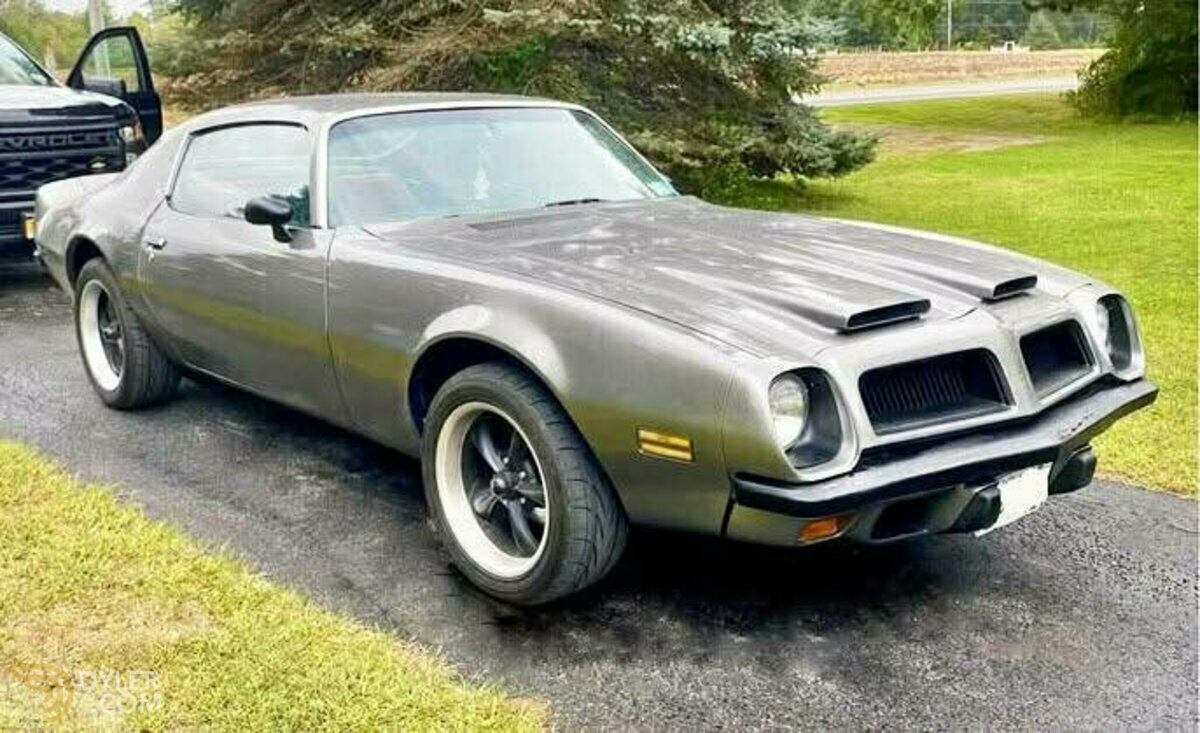 1974 Pontiac Firebird, foto 1