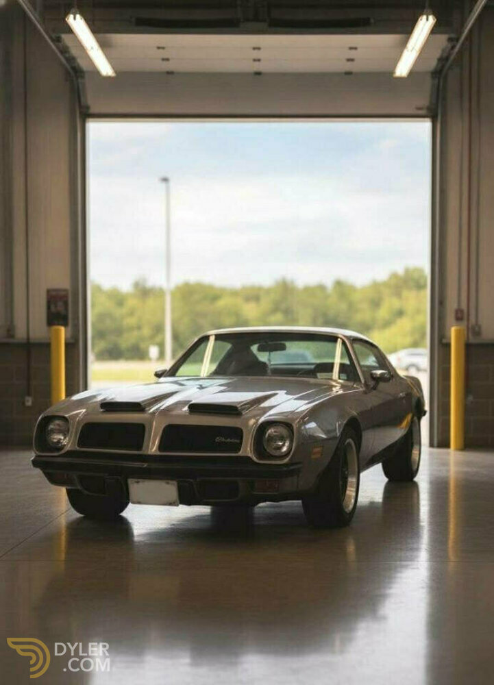 1974 Pontiac Firebird, foto 2