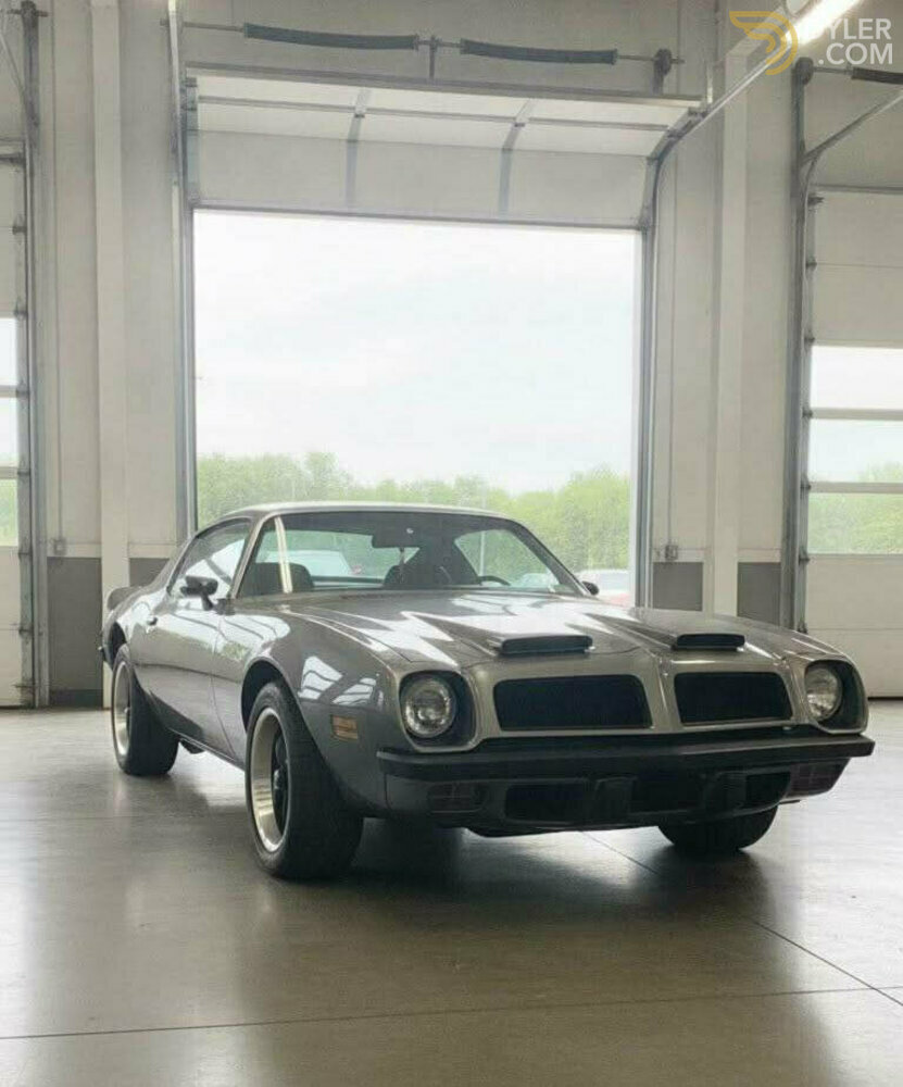 1974 Pontiac Firebird, foto 3