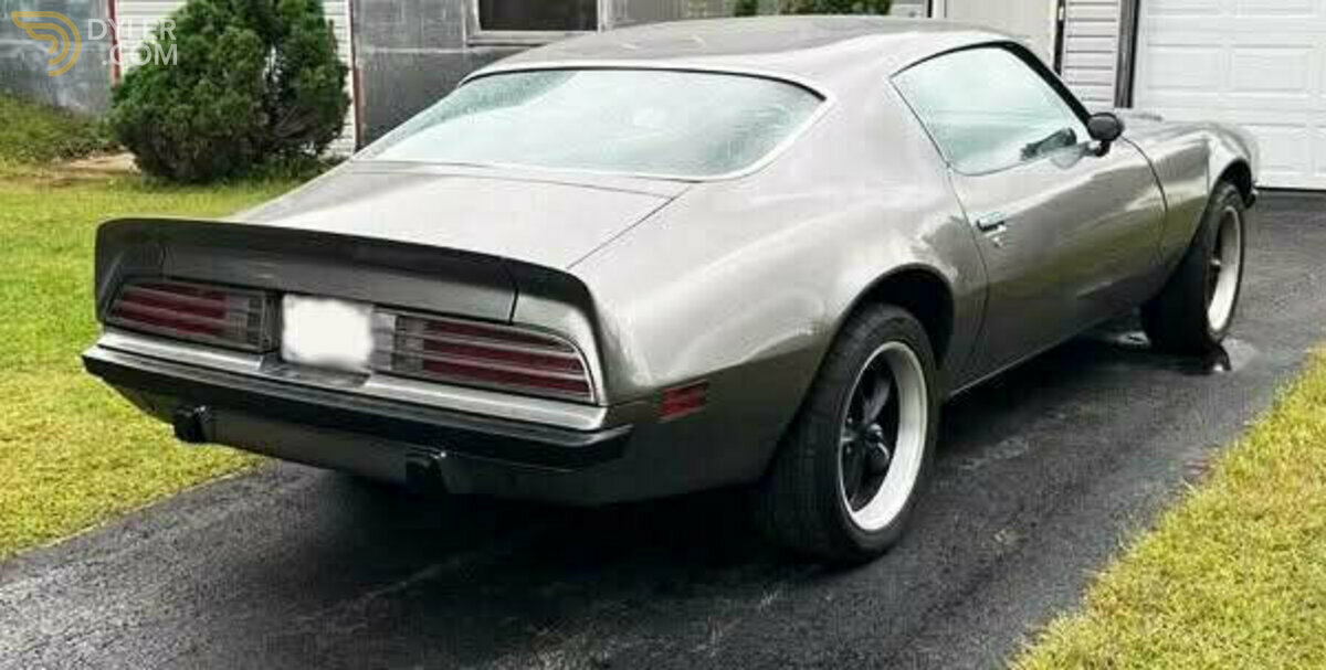 1974 Pontiac Firebird, foto 4