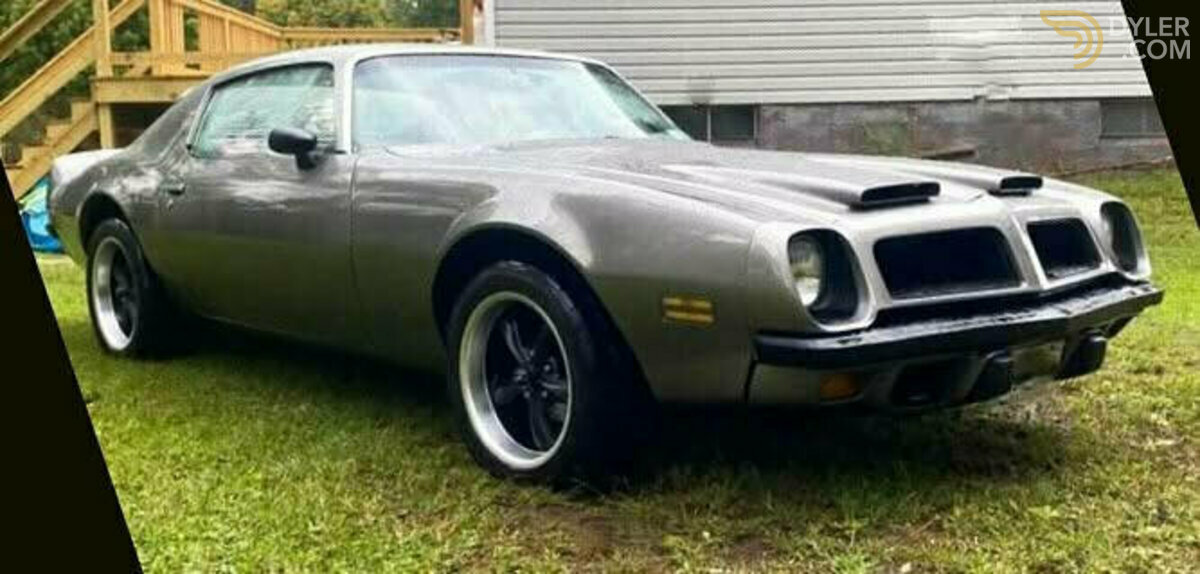 1974 Pontiac Firebird, foto 6