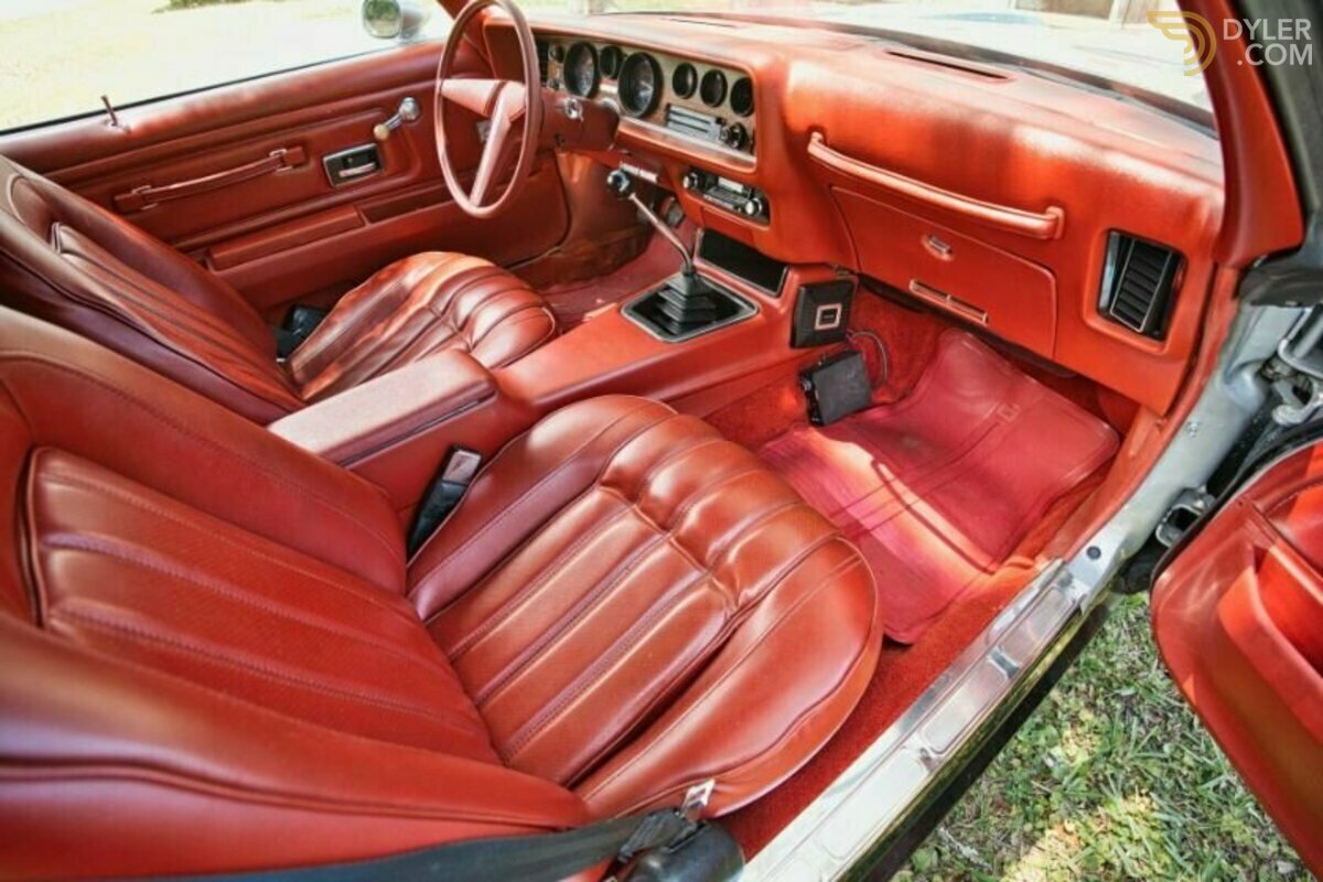 1976 Pontiac Firebird, foto 8