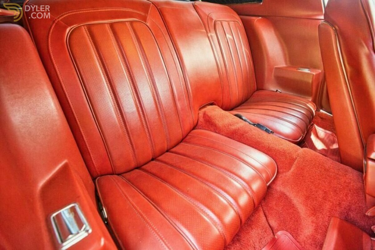 1976 Pontiac Firebird, foto 10