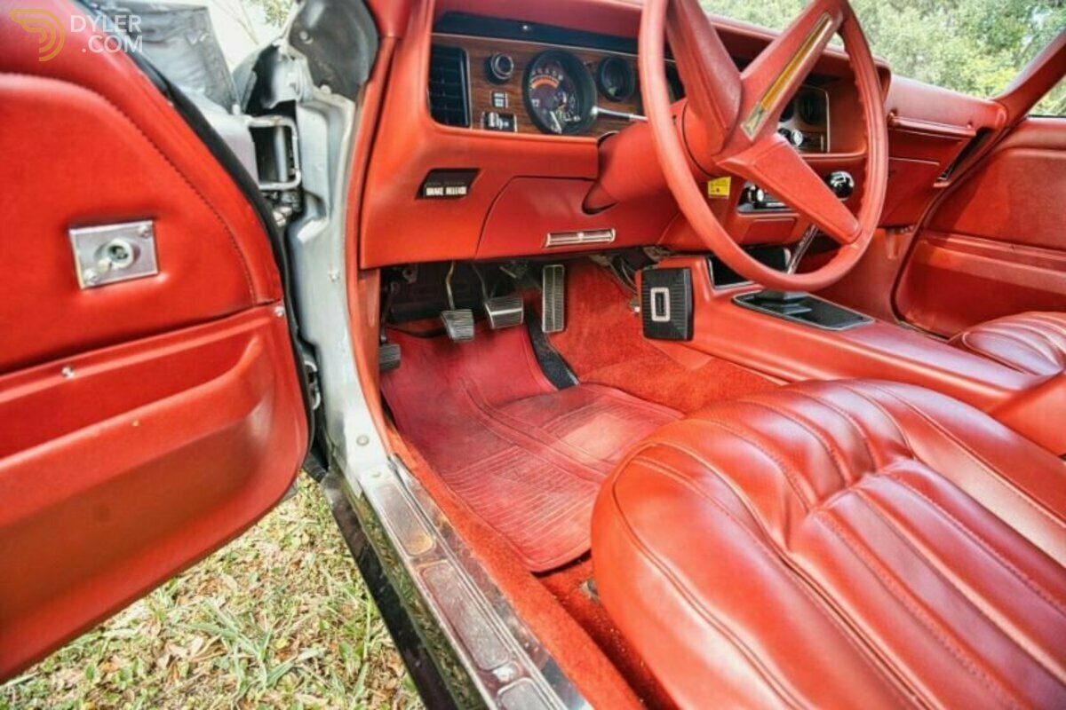 1976 Pontiac Firebird, foto 12