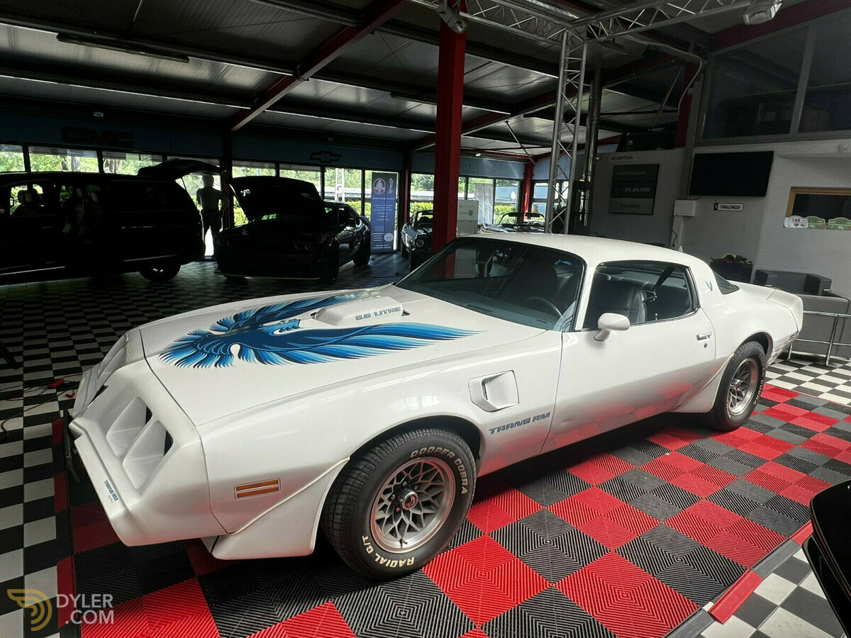 1979 Pontiac Firebird auto, foto 2
