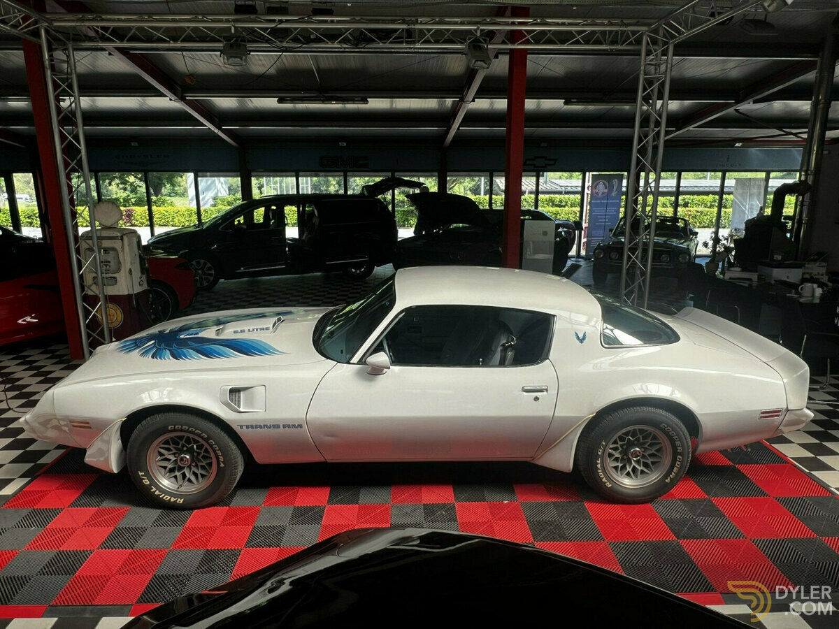 1979 Pontiac Firebird auto, foto 3