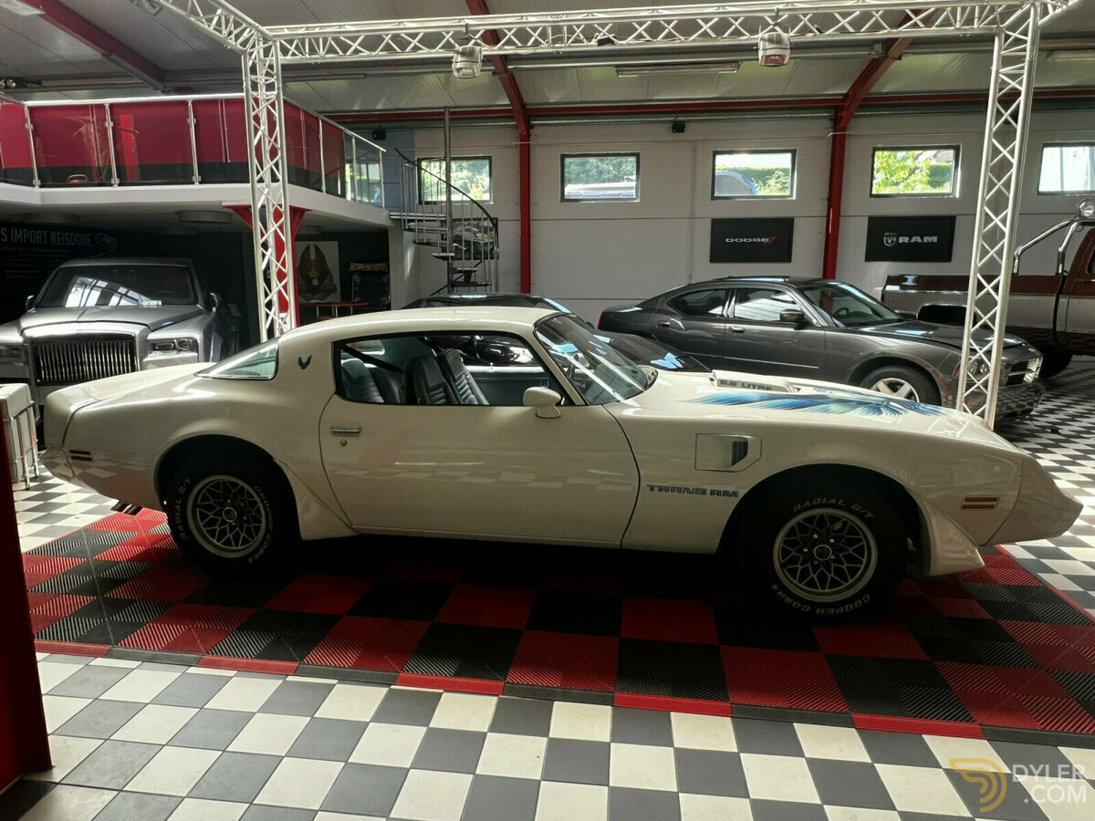 1979 Pontiac Firebird auto, foto 8