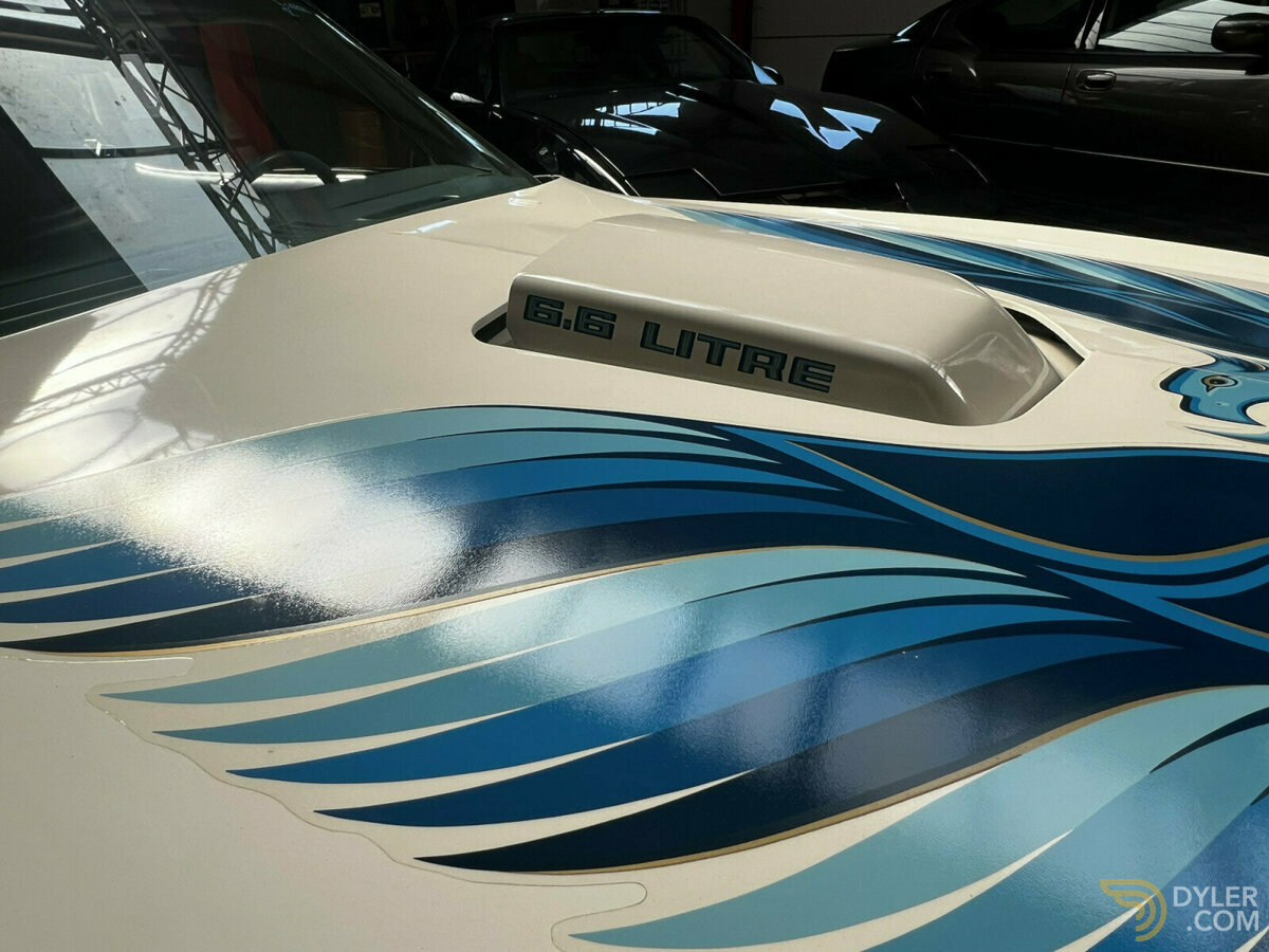 1979 Pontiac Firebird auto, foto 11