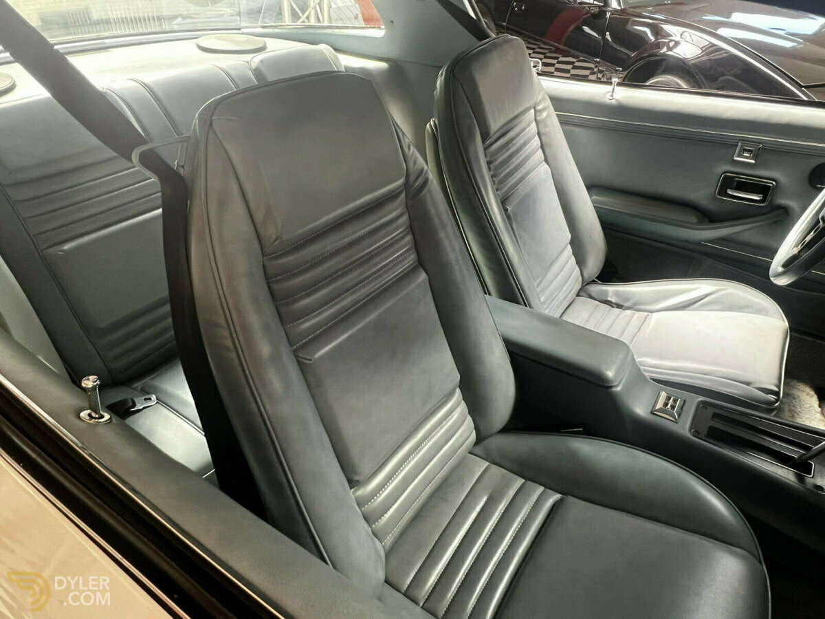 1979 Pontiac Firebird auto, foto 12