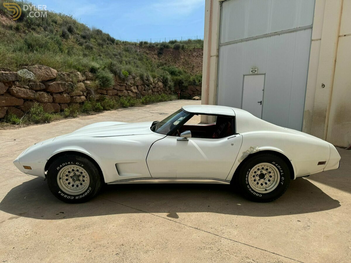 1977 Chevrolet Corvette Corvette, foto 1