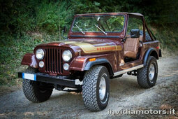 Jeep Renegade Renegade Levi's Ed. Hatchback 1976 Brown