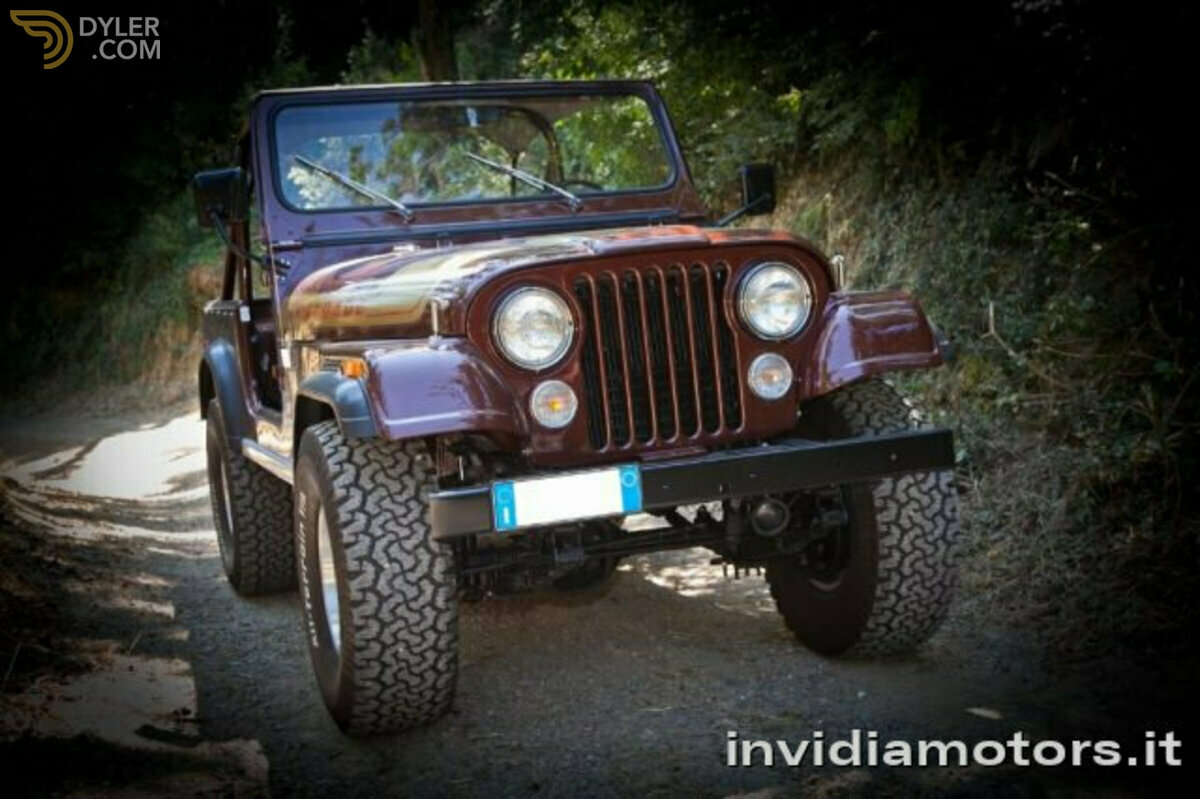 1976 Jeep Renegade Renegade Levi's Ed., foto 4