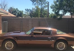 Pontiac Trans Am Coupe 1979 Brown Pontiac Trans Am Coupe 1979 Brown Car for Sale. 307021