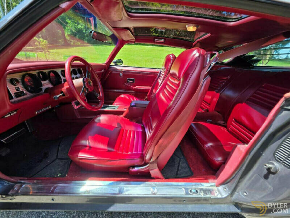 1980 Pontiac Firebird Trans Am 4.9L Turbo, foto 7