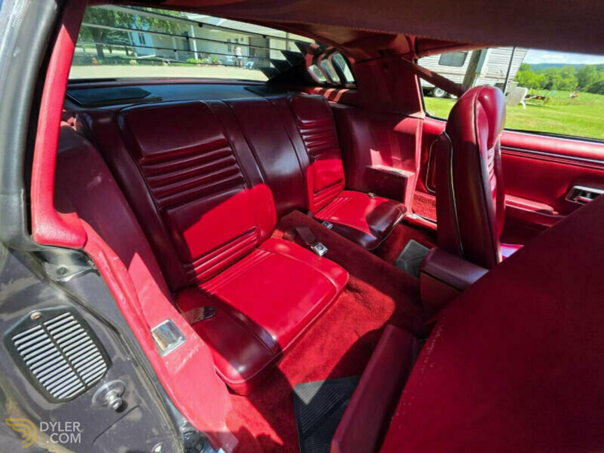 1980 Pontiac Firebird Trans Am 4.9L Turbo, foto 9