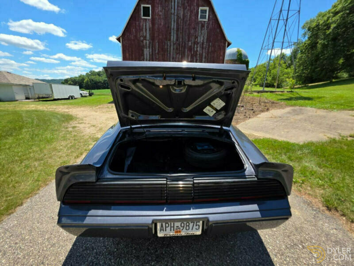 1980 Pontiac Firebird Trans Am 4.9L Turbo, foto 11