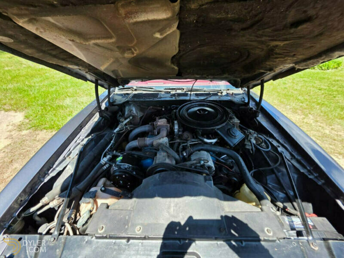 1980 Pontiac Firebird Trans Am 4.9L Turbo, foto 12
