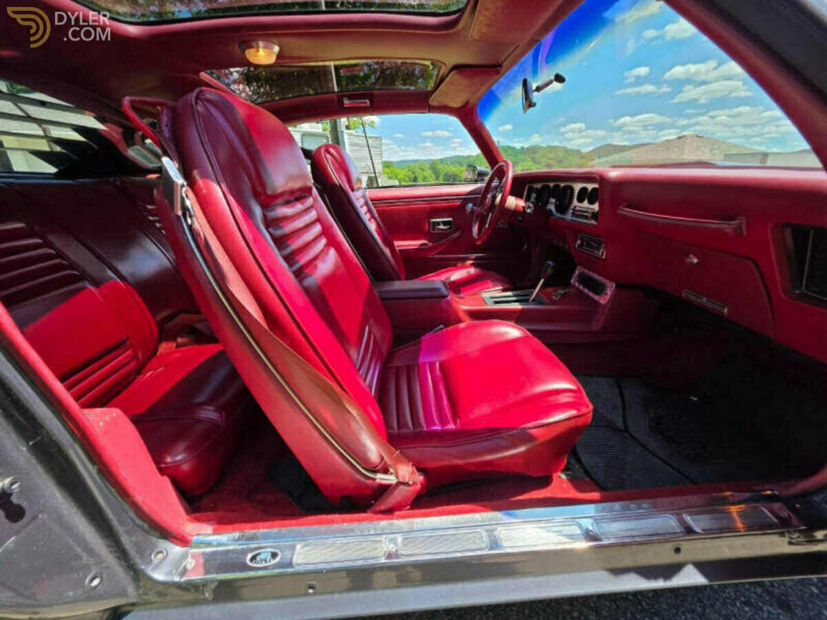 1980 Pontiac Firebird Trans Am 4.9L Turbo, foto 10