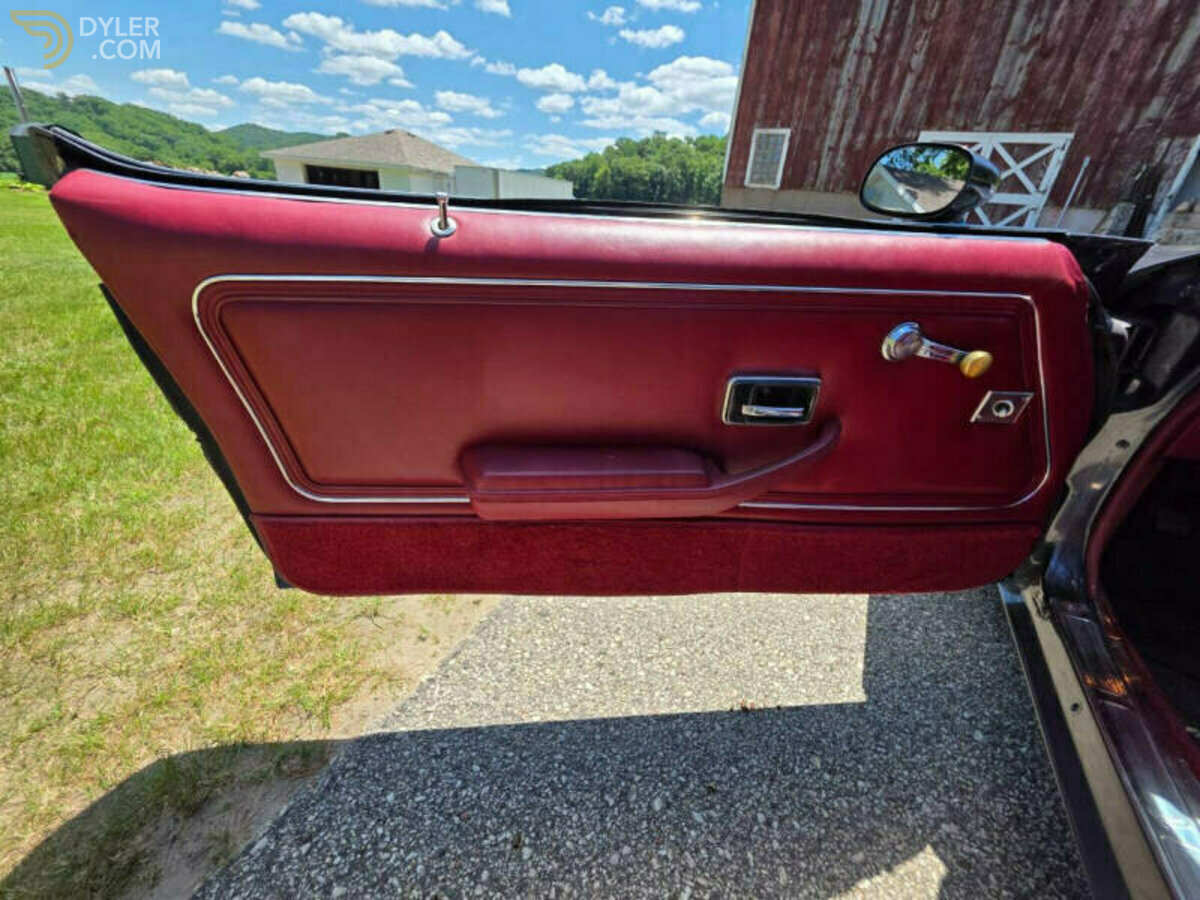 1980 Pontiac Firebird Trans Am 4.9L Turbo, foto 8