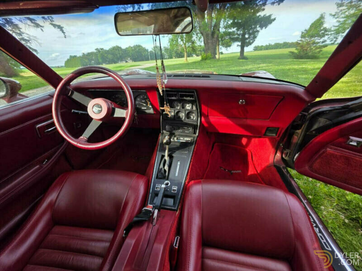 1981 Chevrolet Corvette, foto 5