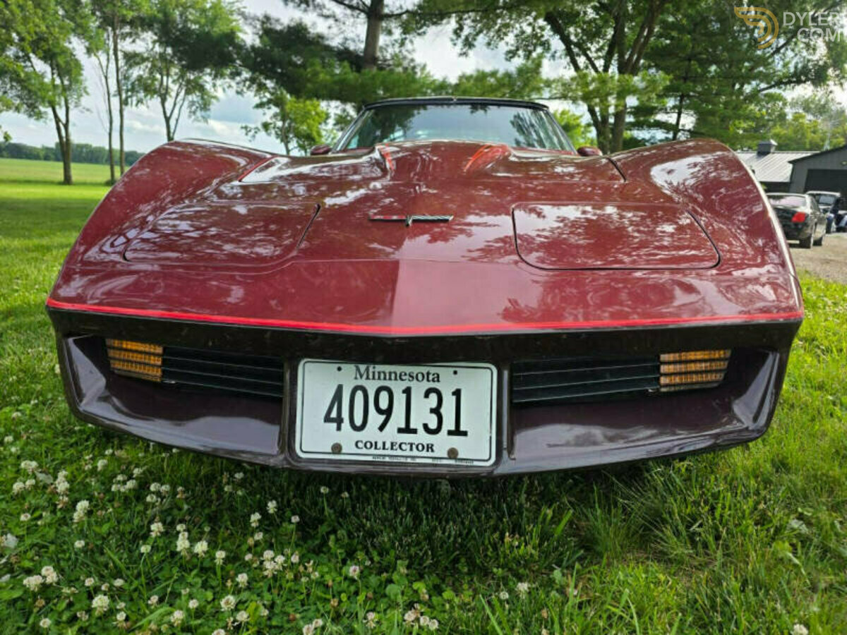 1981 Chevrolet Corvette, foto 8