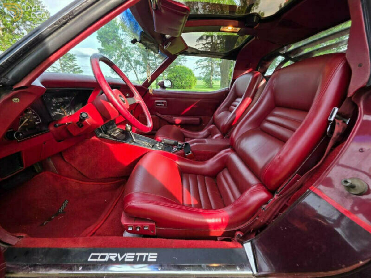 1981 Chevrolet Corvette, foto 10