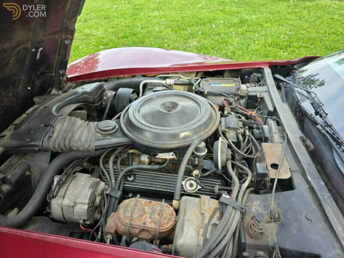 1981 Chevrolet Corvette, foto 12