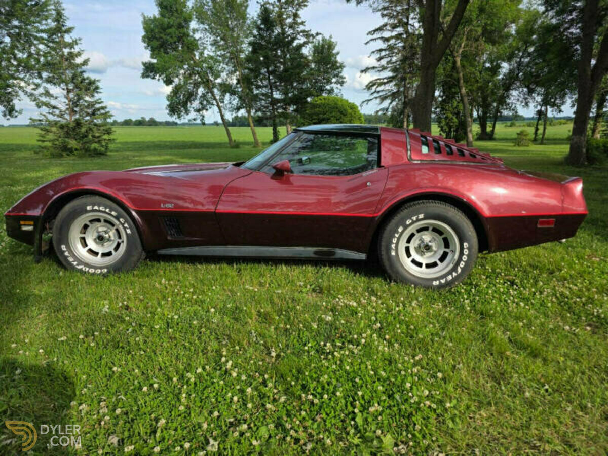 1981 Chevrolet Corvette, foto 6