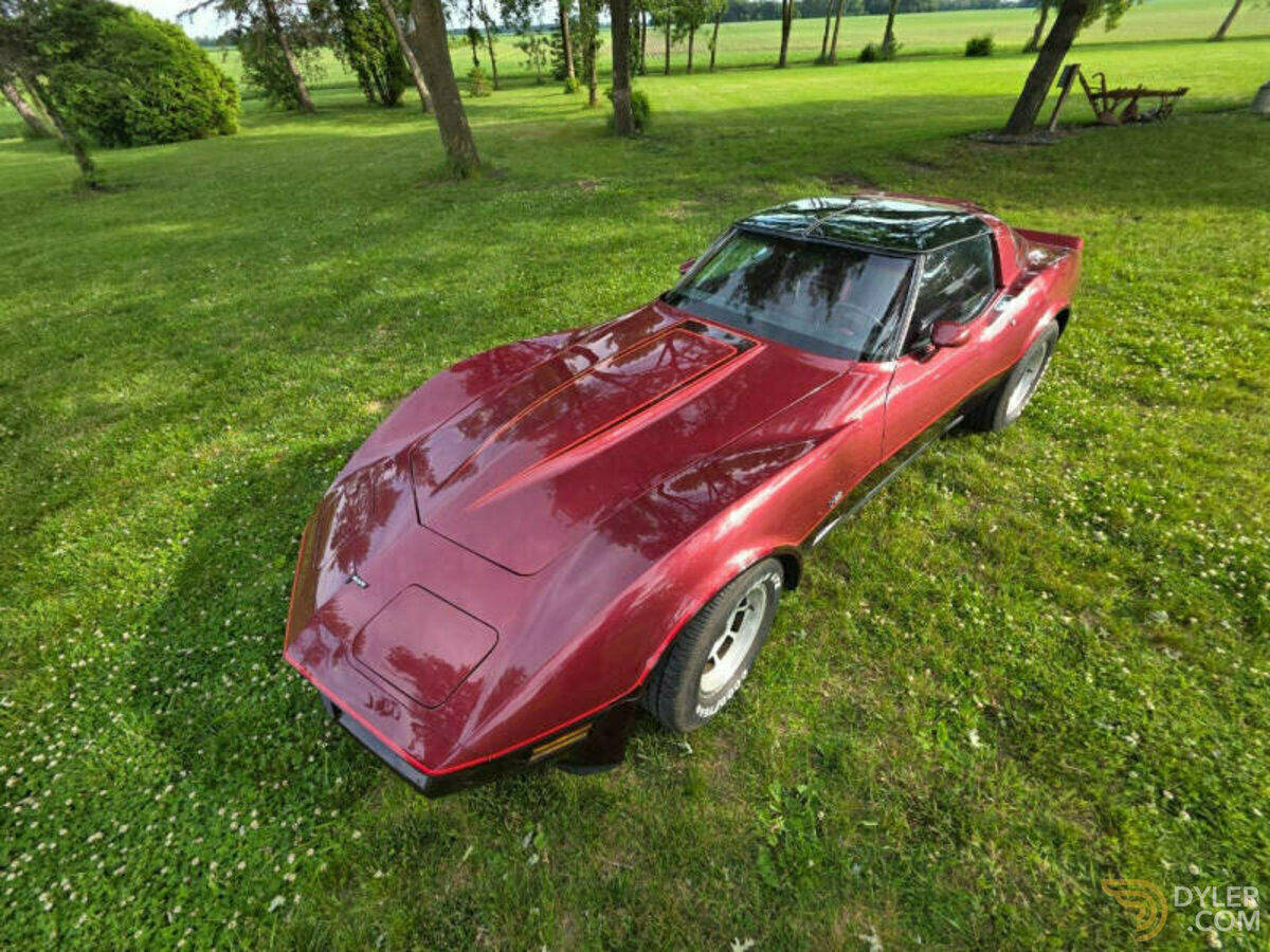 1981 Chevrolet Corvette, foto 1