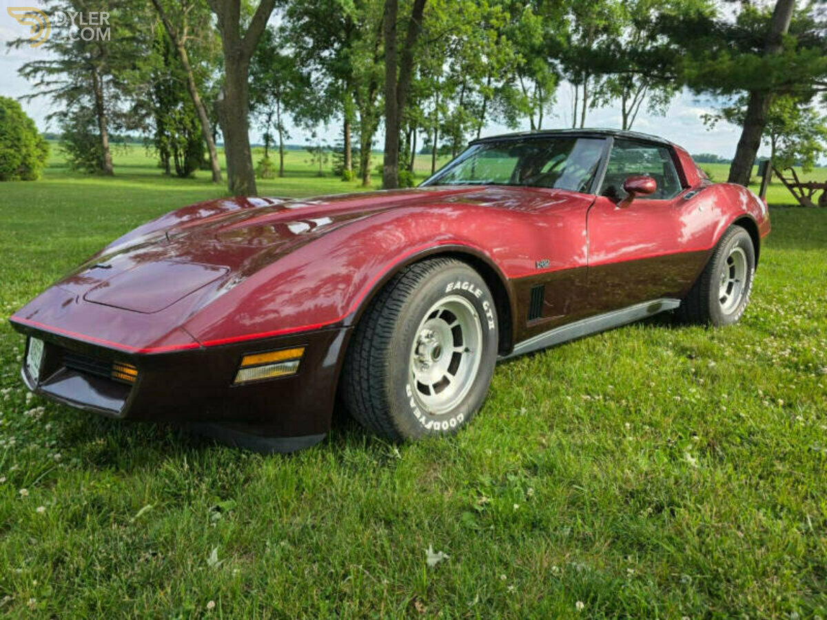 1981 Chevrolet Corvette, foto 2