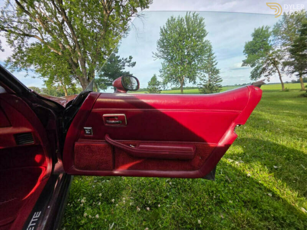 1981 Chevrolet Corvette, foto 9