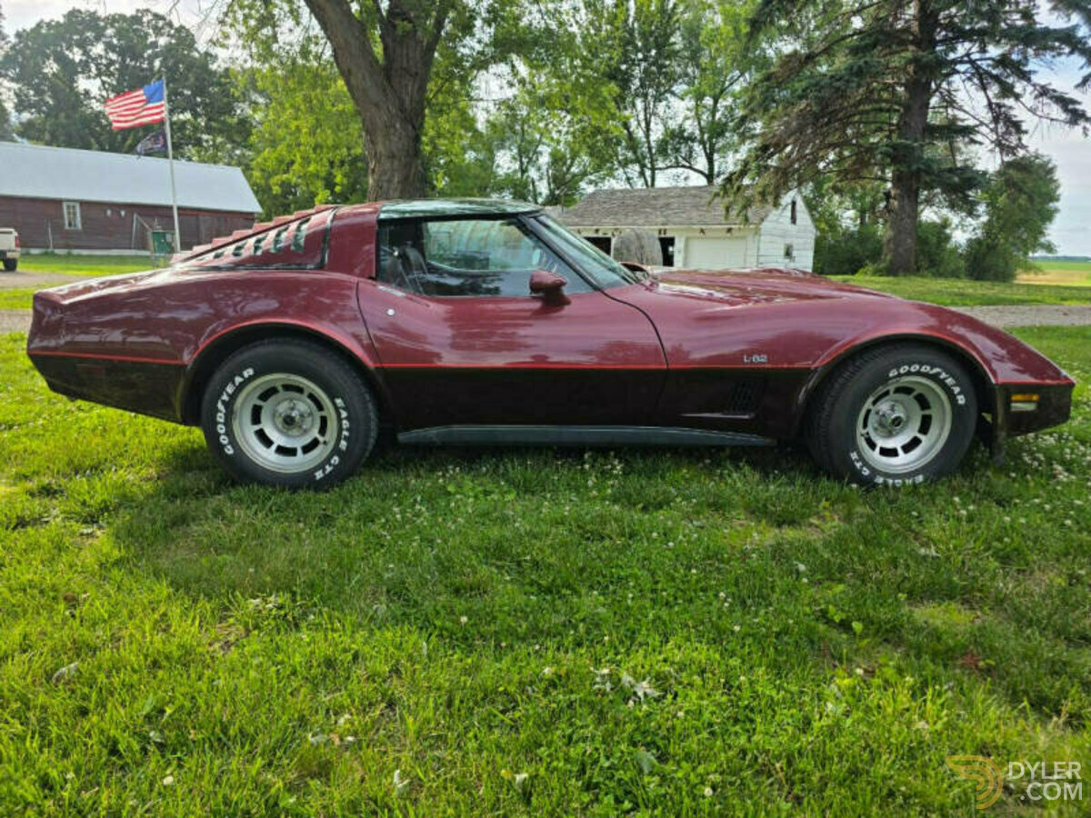 1981 Chevrolet Corvette, foto 11