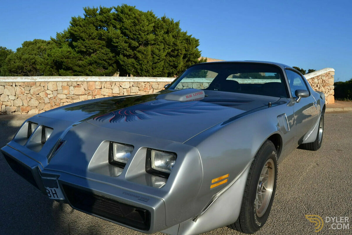 1979 Pontiac Firebird Trans Am WS6, foto 3