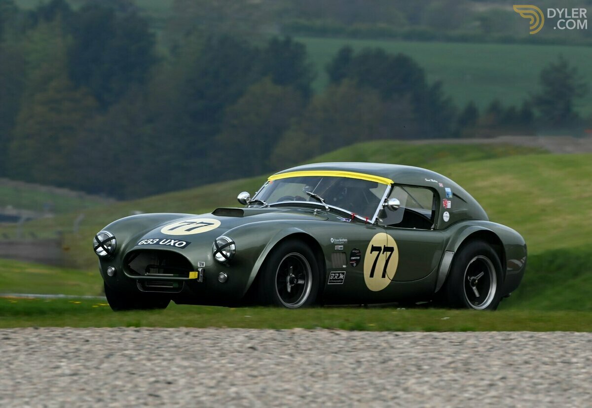 1965 Shelby Cobra FIA 289, foto 3