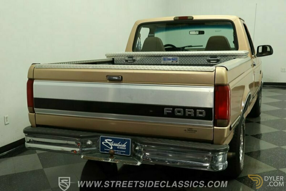 1994 Ford F-150, foto 10