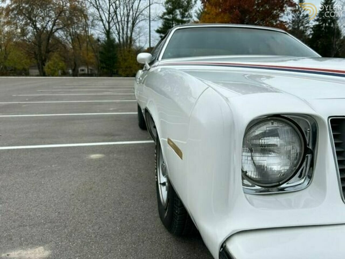 1974 Pontiac Grand Am, foto 7