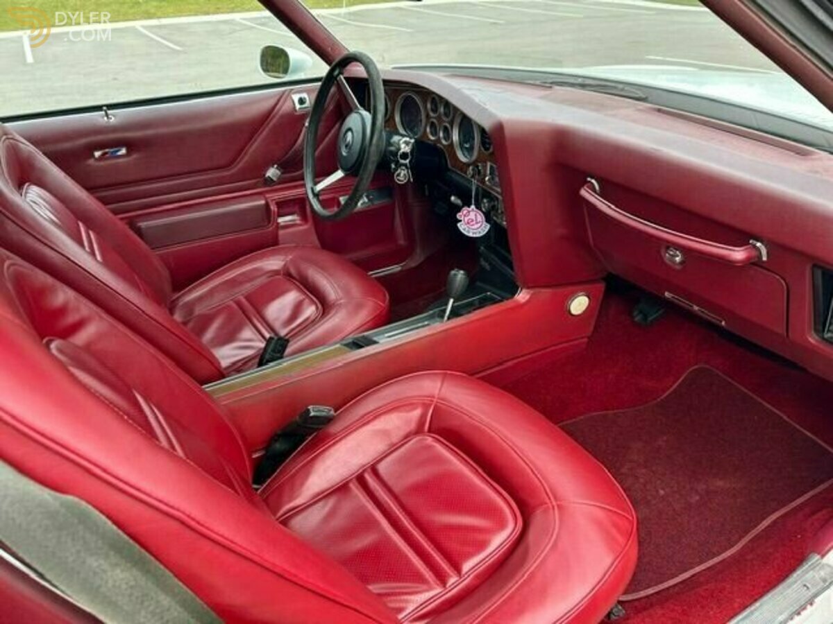1974 Pontiac Grand Am, foto 11
