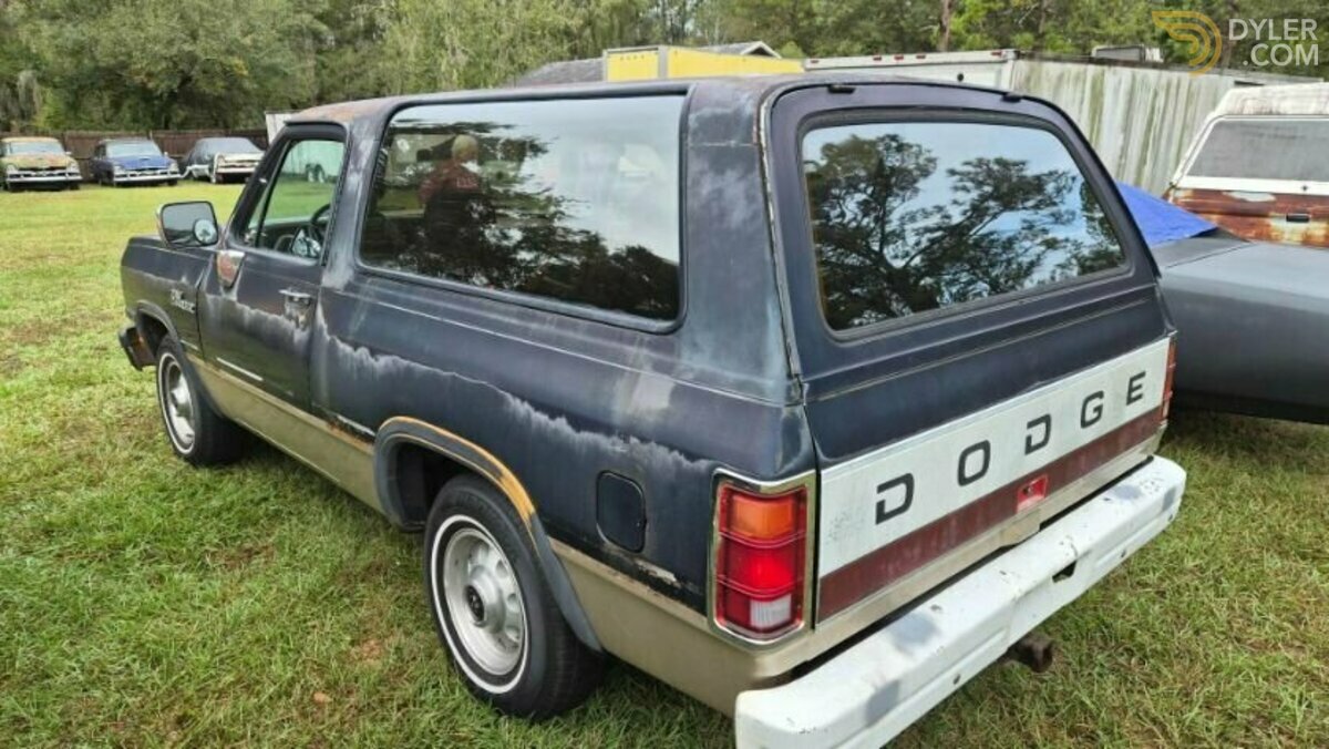 1992 Dodge Ramcharger, foto 4