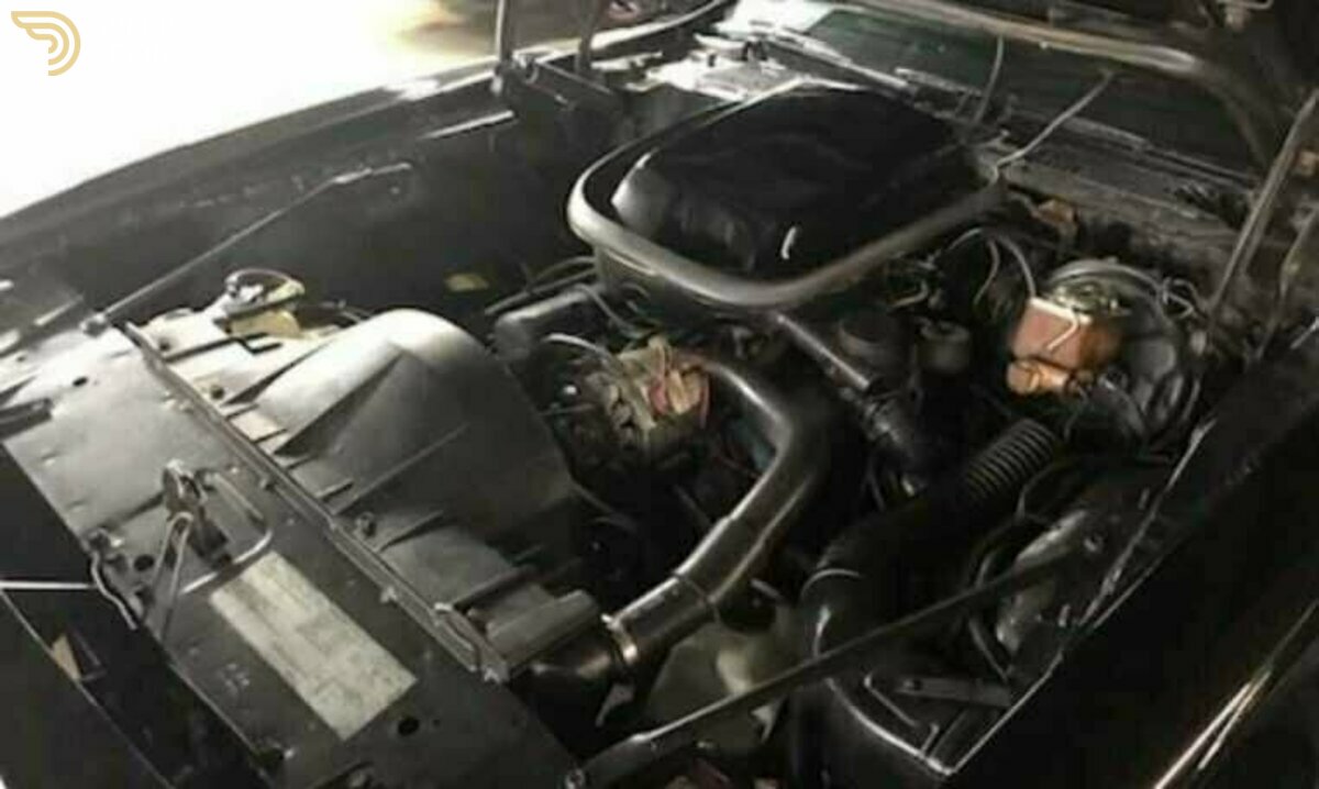 1979 Pontiac Firebird Trans Am, foto 10