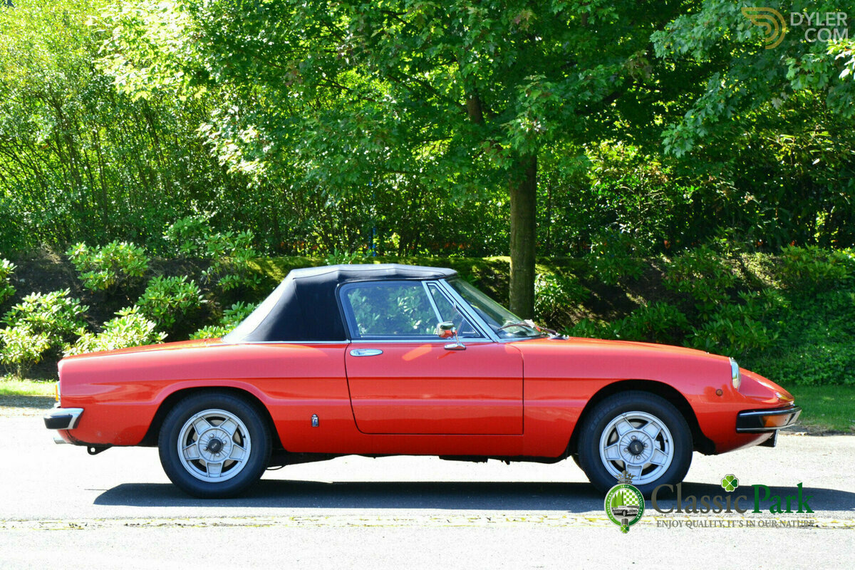 1981 Alfa Romeo Spider Veloce, foto 2