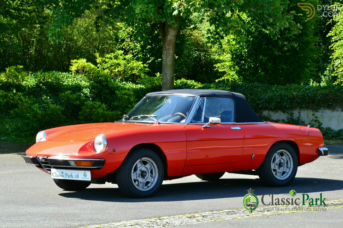 1981 Alfa Romeo Spider Veloce, foto 8