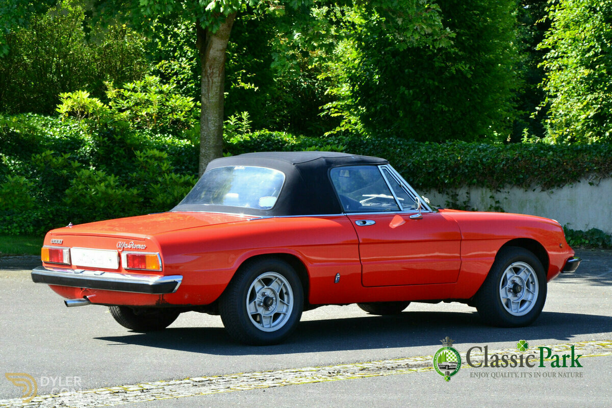 1981 Alfa Romeo Spider Veloce, foto 11