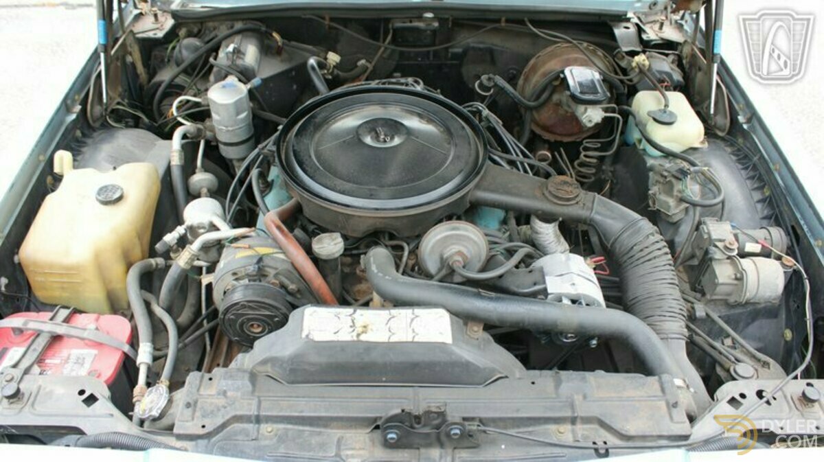 1979 Buick Riviera S-Type, foto 9